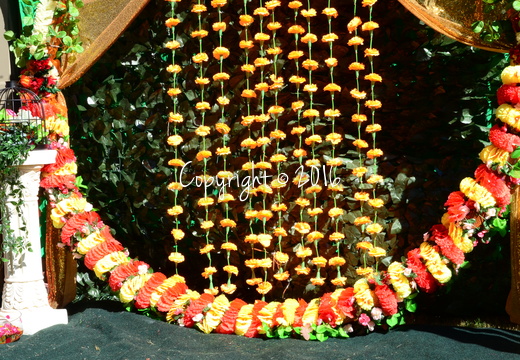 DSC 0654